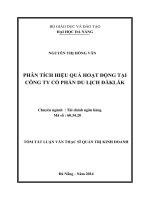 phân tích hiệu quả hoạt động tại công ty cổ phần du lịch đăklăk