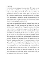 đề tài dự án phát triển làng nghề truyền thống chạm bạc đồng xâm tại xã hồng thái, huyện kiến xương, tỉnh thái bình.