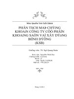 Phân tích mã chứng khoán Công Ty Cổ Phần Khoáng Sản và Xây Dựng Bình Dương