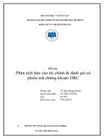 Phân tích báo cáo tài chính  định giá cổ phiếu mã chứng khoán DRC