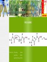 giới thiệu về polyamit