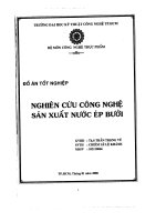 đồ án nghiên cứu công nghệ sản xuất nước ép bưởi - luận văn, đồ án, đề tài tốt nghiệp