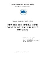 Tiểu luận môn QUẢN TRỊ TÀI CHÍNH PHÂN TÍCH TÌNH HÌNH TÀI CHÍNH CÔNG TY CỔ PHẦN XÂY DỰNG SỐ 9 (HNX)