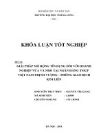 giải pháp mở rộng tín dụng đối với doanh nghiệp vừa và nhỏ tại ngân hàng tmcp việt nam thịnh vượng phòng giao dịch kim liên
