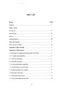 đồ án bước đầu xây dựng quy trình sản xuất nem chua quy mô công nghiệp tại xí nghiệp chế biến thực phẩm nam phong - luận văn, đồ án, đề tài tốt nghiệp