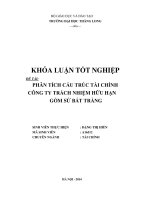 phân tích cấu trúc tài chính công ty trách nhiệm hữu hạn gốm sứ bát tràng