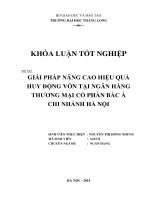 giải pháp nâng cao hiệu quả huy động vốn tại ngân hàng thương mại cổ phần bắc á - chi nhánh hà nội
