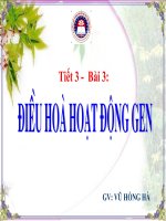 sinh học 12  bài 3. hoạt động điều hòa của gen