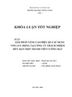 giải pháp nâng cao hiệu quả sử dụng vốn lưu động tại công ty trách nhiệm hữu hạn một thành viên cường đạt