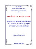 đánh giá hiệu quả chăn nuôi heo rừng của trang trại sao sáng tại thị xã hương thủy, tỉnh thừa thiên huế