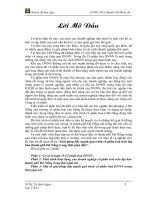 giải pháp đẩy mạnh quá trình cổ phần hoá trên địa bàn thành phố đà nẵng