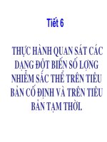 sinh học 12 - bài 7. thực hành quan sát các dạng đột biến số lượng nhiễm sắc thể trên tiêu bản cố định và trên tiêu bản tạm thời