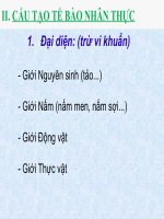 thuyết trình sinh học -cấu tạo tế bào nhân thực