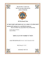 sự khác biệt giới trong lựa chọn các hình thức khám chữa bệnh của người dân raglai