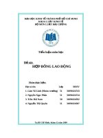 Các vấn đề về hợp đồng lao động