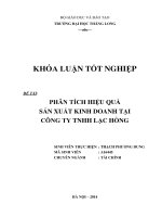 phân tích hiệu quả sản xuất kinh doanh tại công ty tnhh lạc hồng