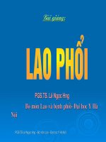 Bài giảng về lao phổi