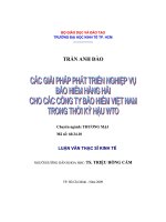 các giải pháp phát triển nghiệp vụ bảo hiểm hàng hải cho các công ty bảo hiểm việt nam trong thời kỳ hậu WTO