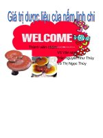 Tiểu luận giá trị dược liệu của nấm linh chi