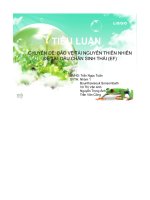 tiểu luận dấu chân sinh thái (ef) - luận văn, đồ án, đề tài tốt nghiệp