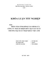 phân tích tình hình tài chính của công ty tnhh sản xuất thương mại xuất nhập khẩu việt anh