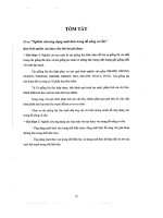 đồ án nghiên cứu ứng dụng malt thóc trong đồ uống có cồn - luận văn, đồ án, đề tài tốt nghiệp