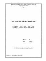 Tiểu luận môn học hóa môi trường nhiên liệu hóa thạch