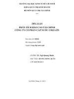 PHÂN TÍCH BÁO CÁO TÀI CHÍNH CÔNG TY CỔ PHẦN CẤP NƯỚC CHỢ LỚN