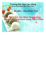 Phương pháp phân tích định tính và định lượng protein