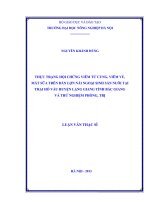 Thực trạng hội chứng viêm tử cung , viêm vú , mất sữa trên đàn lợn nái ngoại sinh sản nuôi tại trại hố vầu huyện lạng giang tỉnh bắc giang và thử nghiệm phòng , trị