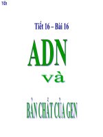 thuyết trinh sinh học -adn và bản chất của gen