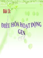 sinh học 12  bài 3. hoạt động điều hòa của gen .