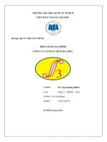 PHÂN TÍCH TÀI CHÍNH CÔNG TY CỔ PHẦN SÔNG BA (SBA)