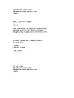 giải pháp nâng cao hiệu quả kinh doanh du lịch quốc tế tại công ty cổ phần thương mại du lịch quốc tế thành công