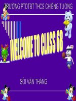 english 6 unit 4 big or small