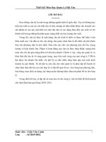 lập dự án mua tàu cũ cho công ty vận tải biển để kinh doanh cho thuê định hạn giai đoạn 2010-2015