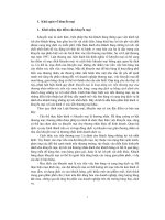 Pháp luật về hoạt động khuyến mại nhìn từ góc độ lý luận và thực tiễn; những bất cập và phương hướng hoàn thiện
