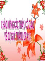 thuyết trình sinh học - hô hấp ở thực vật