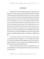 sự cần thiết của việc xây dựng (dmhs) đối với bộ tài nguyên và môi trường