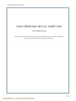 tài liệu học bố cục ảnh toàn tập bất kỳ ai muốn có tấm ảnh đẹp đều phải biết