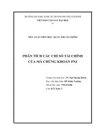 PHÂN TÍCH CÁC CHỈ SỐ TÀI CHÍNH CỦA MÃ CHỨNG KHOÁN PNJ