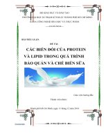 QUÁ TRÌNH BIẾN đổi PROTEIN và LIPIT TRONH bảo QUẢN và CHẾ BIẾN sữa