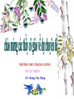 thuyết trinh sinh học - thường biến