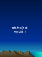 thuyết trình sinh học bằng chứng nguồn gốc loài người