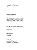 phân tích thực trạng hoạt động cho vay tiêu dùng tại ngân hàng thương mại cổ phần việt nam thịnh vượng - phòng giao dịch kim liên