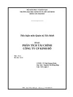 Tiểu luận môn Quản trị Tài chính PHÂN TÍCH TÀI CHÍNH CÔNG TY CỔ PHẦN KINH ĐÔ