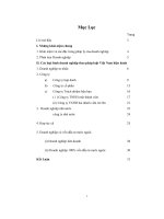 Đề tài pháp luật về các hình thức doanh nghiệp