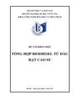 đồ án tổng hợp biodeesel từ dầu hạt cao su