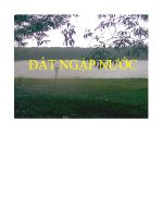 bài thuyết trình đất ngập nước - luận văn, đồ án, đề tài tốt nghiệp