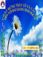 thuyết trình sinh học diễn thế sinh thái